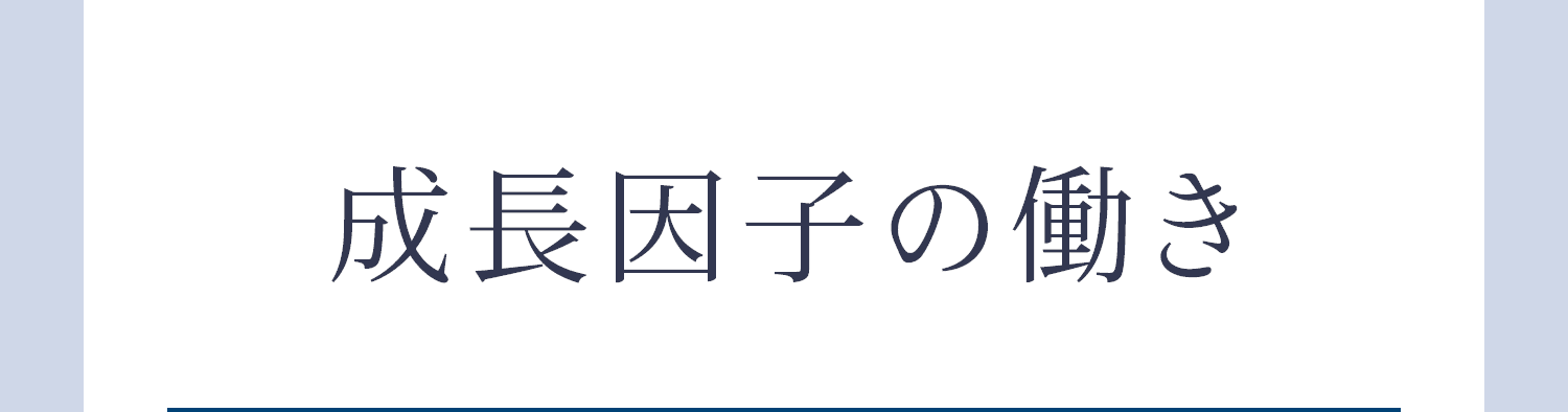 成長因子の働き