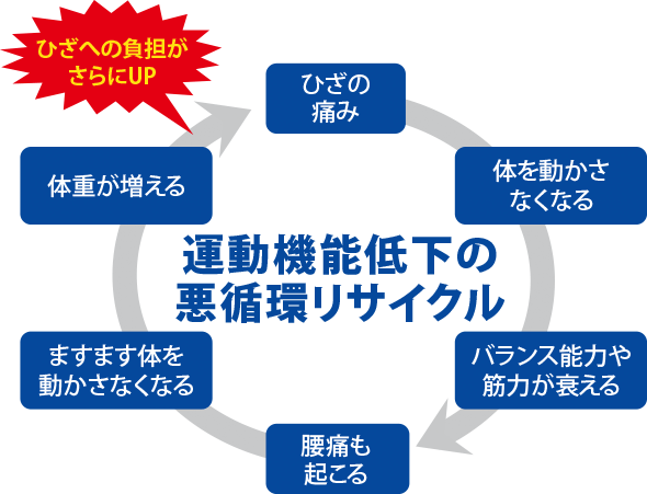 画像 膝oa悪循環サイクル イラスト ネット 関節治療オンライン