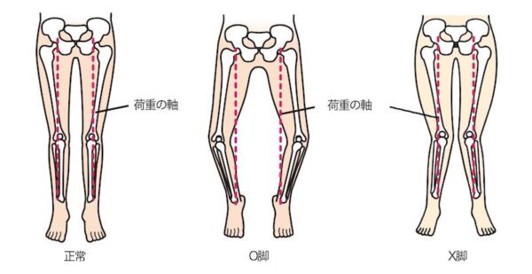 新しい音と感覚